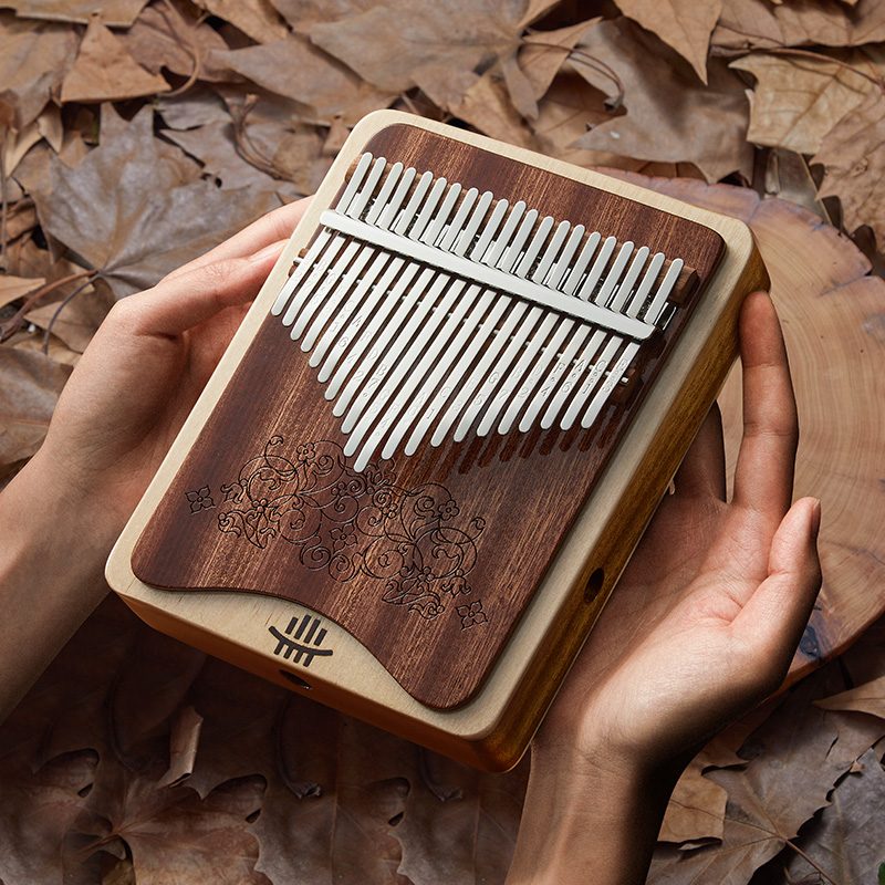 Hluru 21-Key C Major Kalimba for Early Childhood Education — Double-Layer Wah-Wah - view 3